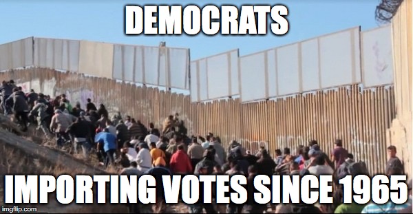 illegal immigrants voting illegals voter fraud democrats